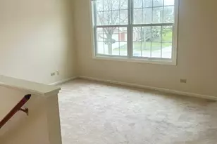 2724 Odlum Dr, Schaumburg, IL 60194 - Photo 19