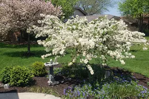 14836 S Cricketwood Dr, Homer Glen, IL 60491 - Photo 33