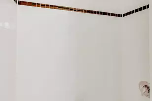 827 W Bradley Pl, Chicago, IL 60613 - Photo 25