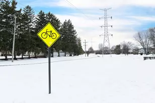 820 N Sanborn Dr, Palatine, IL 60074 - Photo 43