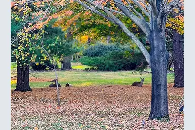 1307 Cross Creek Road, Mahomet, IL 61853 - Photo 61