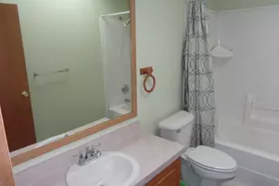 [Address not provided], Manteno, IL 60950 - Photo 33