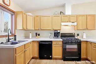 509 Balmoral Ct, Grayslake, IL 60030 - Photo 9