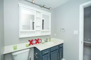 25902 Derby Dr, Monee, IL 60449 - Photo 21