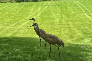 [Address not provided], Warrenville, IL 60555 - Photo 31