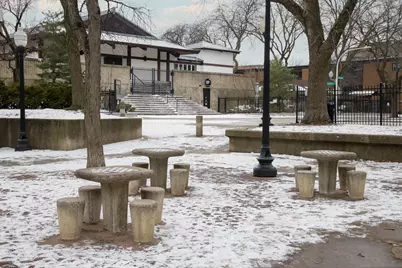 1706 N Fern Court, Chicago, IL 60614 - Photo 29