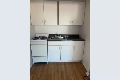 2610 W Berwyn Avenue #207, Chicago, IL 60625 - Photo 3