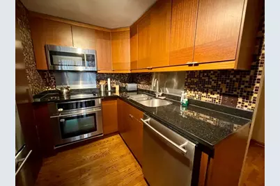 1221 N Dearborn Street #804S, Chicago, IL 60610 - Photo 13