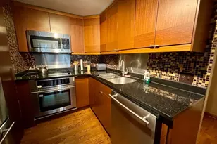 1221 N Dearborn St, Chicago, IL 60610 - Photo 13