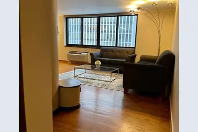 1221 N Dearborn Street #804S, Chicago, IL 60610 - Photo 3