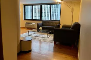 1221 N Dearborn St, Chicago, IL 60610 - Photo 3