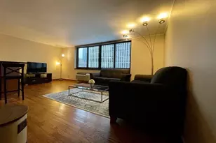 1221 N Dearborn St, Chicago, IL 60610 - Photo 11