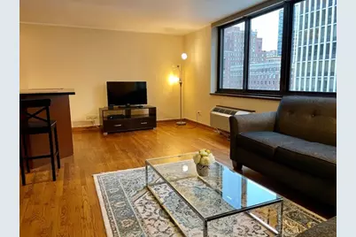 1221 N Dearborn Street #804S, Chicago, IL 60610 - Photo 5