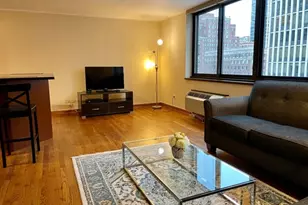 1221 N Dearborn St, Chicago, IL 60610 - Photo 5