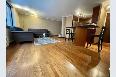 1221 N Dearborn Street #804S, Chicago, IL 60610 - Photo 7