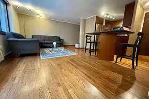 1221 N Dearborn St, Chicago, IL 60610 - Photo 7