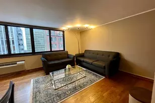 1221 N Dearborn St, Chicago, IL 60610 - Photo 17