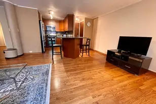 1221 N Dearborn St, Chicago, IL 60610 - Photo 9