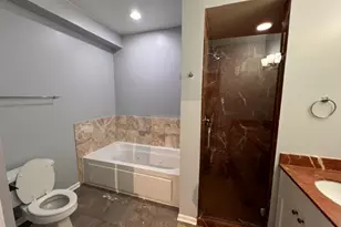 [Address not provided], Chicago, IL 60653 - Photo 11