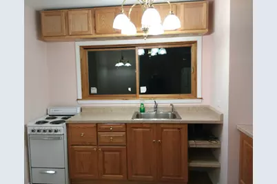 26958 N Ellen Street, Wauconda, IL 60084 - Photo 3