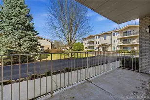 927 Elderberry Cir, Naperville, IL 60563 - Photo 13