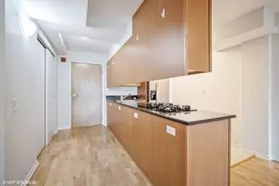 9715 Woods Dr, Skokie, IL 60077 - Photo 3