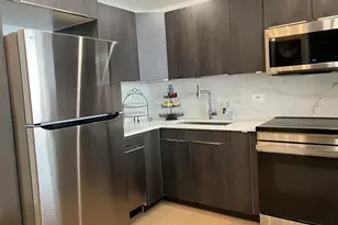 4800 S Chicago Beach Dr, Chicago, IL 60615 - Photo 5