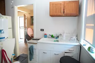 10946 S Avenue D, Chicago, IL 60617 - Photo 19