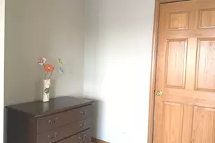 864 Genesee Dr, Naperville, IL 60563 - Photo 19