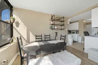 345 E Eastgate Place #306, Chicago, IL 60616 - Photo 9