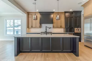 769 S Prospect Ave, Elmhurst, IL 60126 - Photo 3