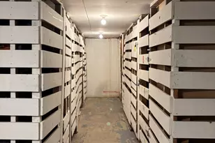 4704 Euclid Ave, Rolling Meadows, IL 60008 - Photo 23