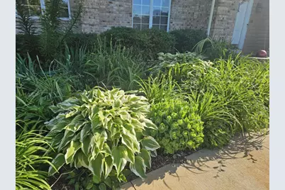 4209 Belson Lane, Crystal Lake, IL 60014 - Photo 61