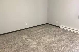 350 N Birch Dr, Manteno, IL 60950 - Photo 5