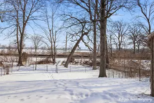 40541 N Il Route 83 Rte, Antioch, IL 60002 - Photo 27