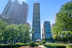 1000 N Lake Shore Plaza, Chicago, IL 60611 - Photo 39