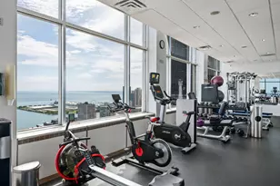 1000 N Lake Shore Plaza, Chicago, IL 60611 - Photo 37