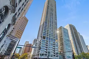 1000 N Lake Shore Plaza, Chicago, IL 60611 - Photo 1