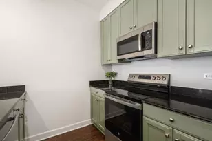 1335 S Prairie Ave, Chicago, IL 60605 - Photo 9