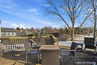 1105 Spring Hill Drive, Algonquin, IL 60102 - Photo 37