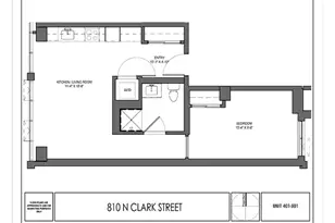 810 N Clark St, Chicago, IL 60654 - Photo 13