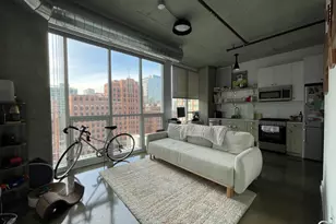 810 N Clark St, Chicago, IL 60654 - Photo 7