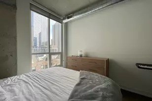 810 N Clark St, Chicago, IL 60654 - Photo 9