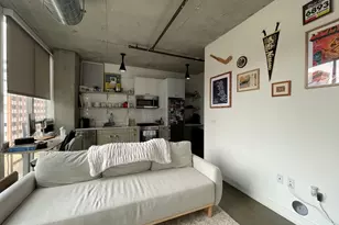 810 N Clark St, Chicago, IL 60654 - Photo 5