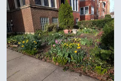 1326 W Albion Avenue #1, Chicago, IL 60626 - Photo 31