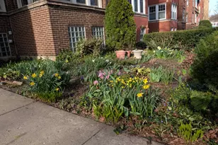 1326 W Albion Ave, Chicago, IL 60626 - Photo 31