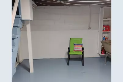 308 Sheldon Avenue, Downers Grove, IL 60515 - Photo 31