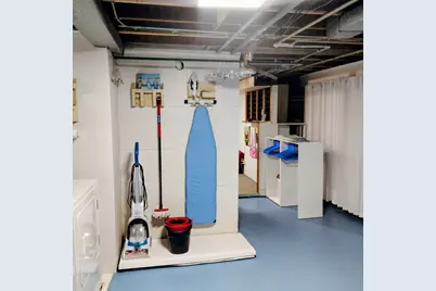 308 Sheldon Avenue, Downers Grove, IL 60515 - Photo 19