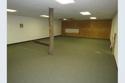 464 S Front Street, Braidwood, IL 60408 - Photo 25