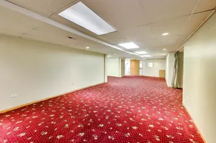 1111 Samstag Ct, Naperville, IL 60563 - Photo 49